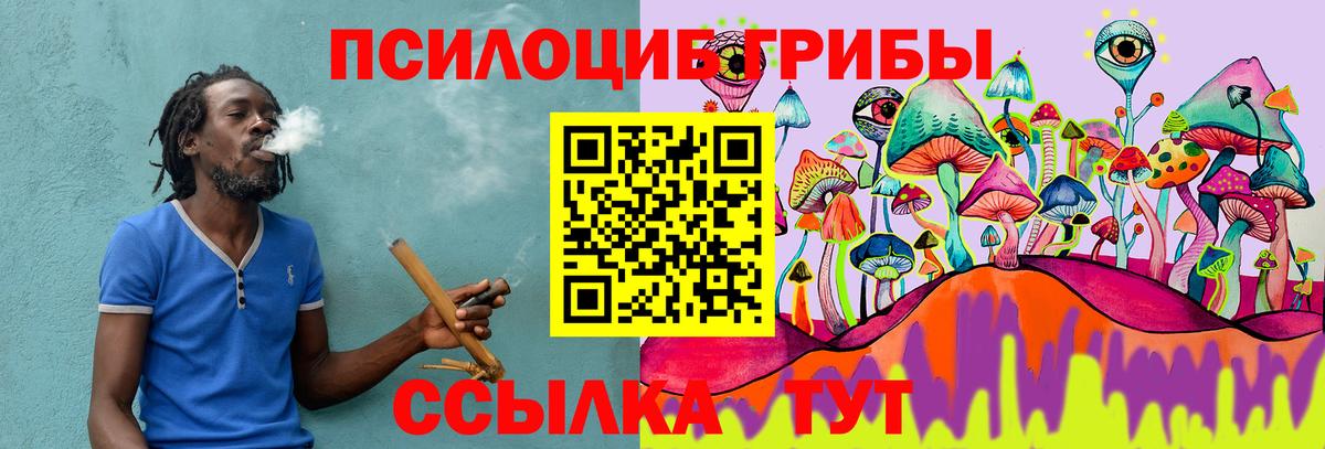 Псилоцибиновые грибы мицелий Кингисепп