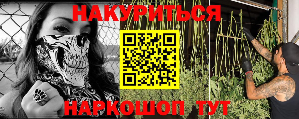 Бошки марихуана тримм  Канабис Ganja  Канабис семена  Кингисепп  Вход с VPN  Бошки Шишки индика 